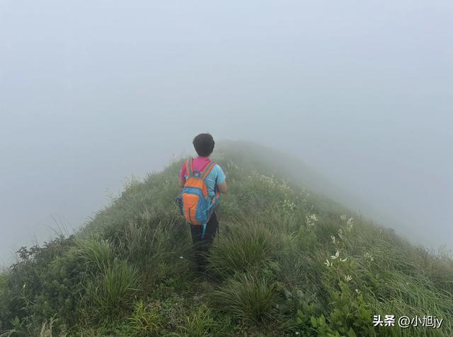 来呀,去白云山看金莲花,辽阳县大黑山风景区境内的白云山