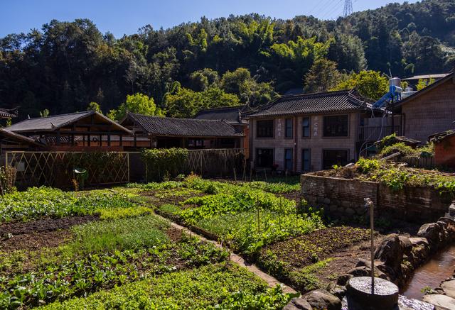 普洱游之那柯里