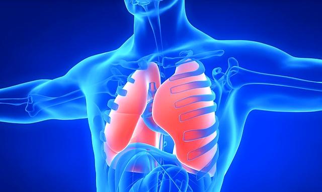 “经常运动”被推翻？医生建议：过了55岁，最好保持5个锻炼习惯