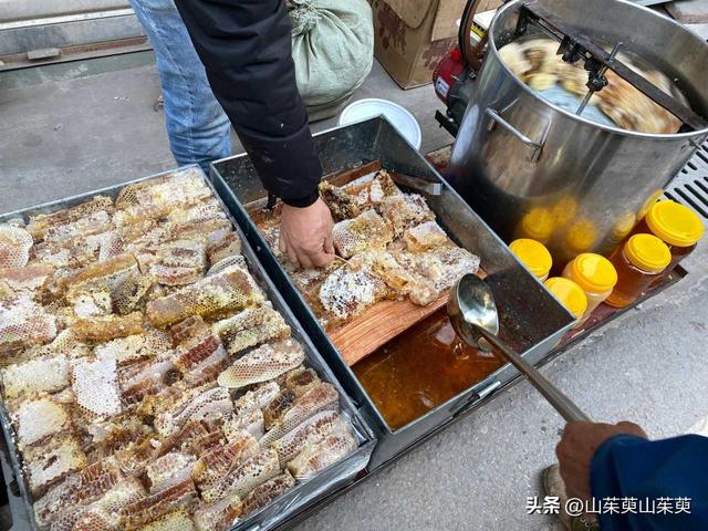 2023年春重庆探亲游（上篇）
