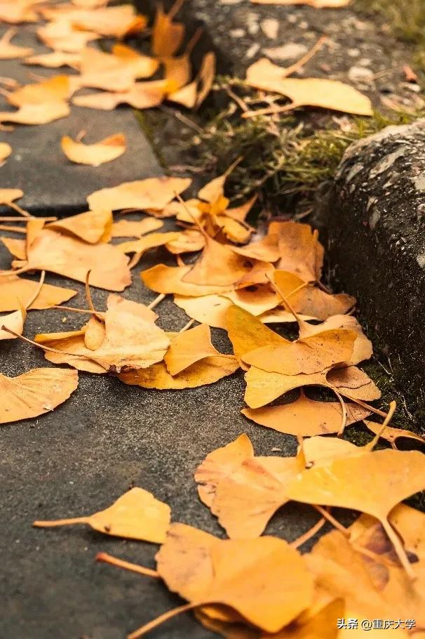 重大限定皮肤上新,超出片!🤳