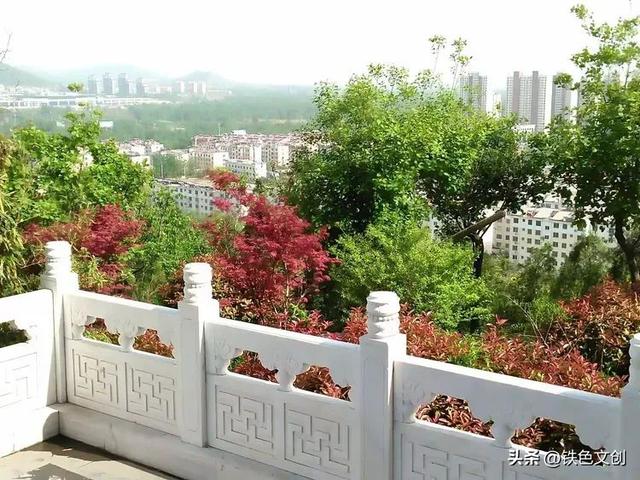 铁兵游记 | 枣庄铁道游击队纪念园和微山湖