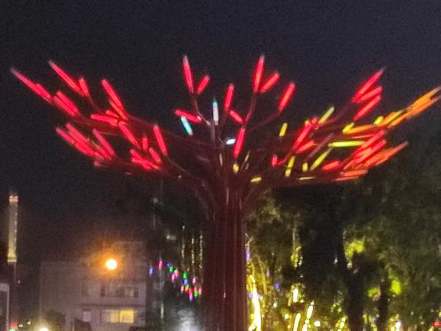 万州会战友（38军113师337团），夜游万州三峡平湖