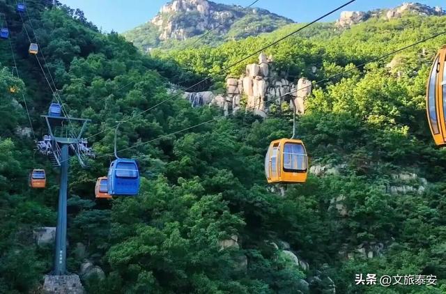 重阳至，来看泰安“登高”全攻略！