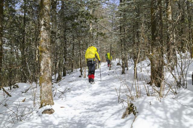 8年禁令鳌太线为何越禁越火？3.5亿爱好者疯抢的“强驴毕业礼”！