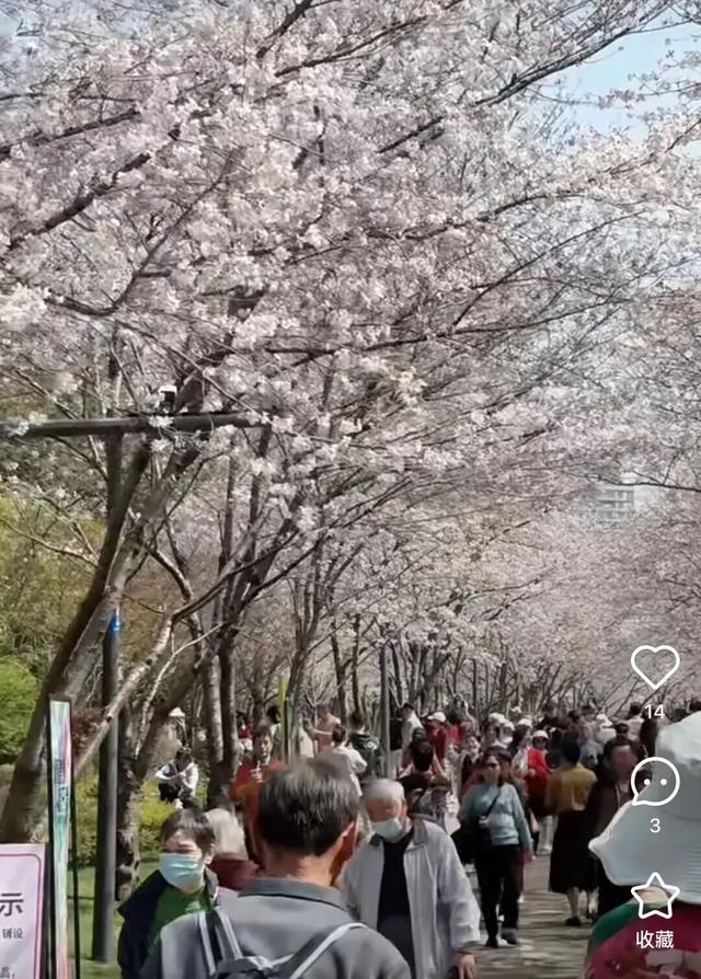 无锡这座大公园，即将爆火！