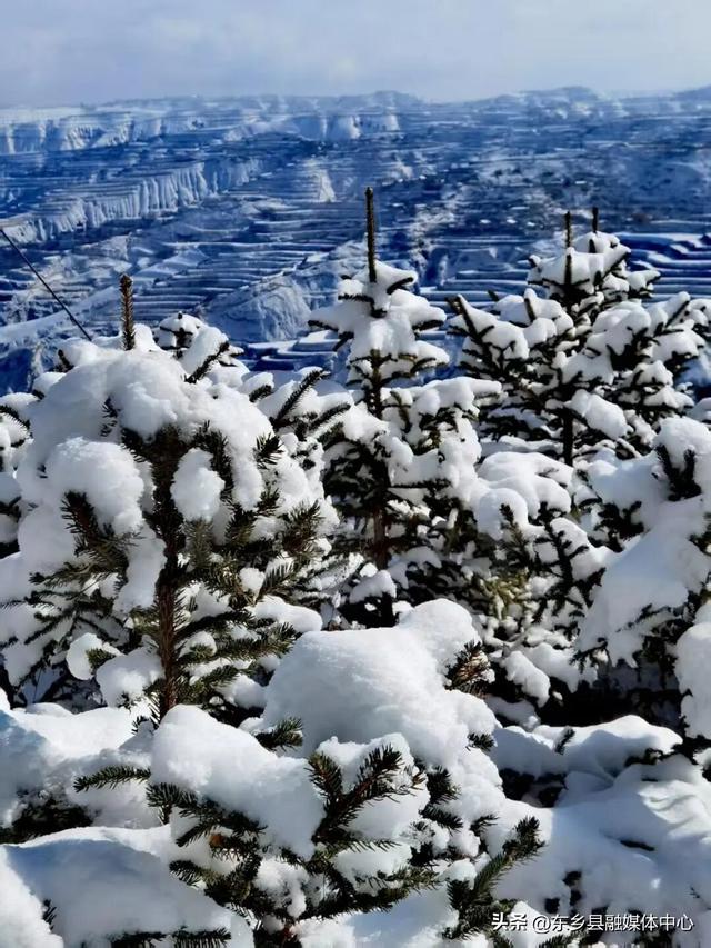 雪落东乡，把冬天写成了诗