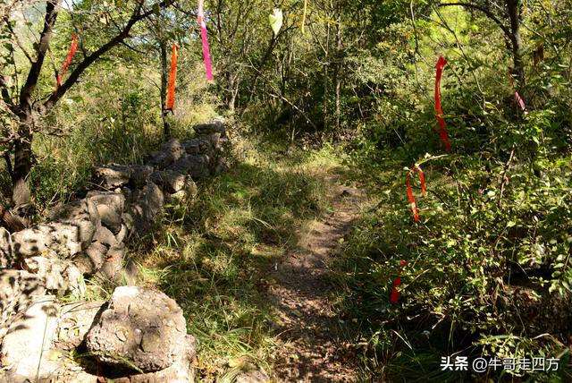 延庆应梦寺（五）：山巅极目收千嶂，林海听风涤尘心