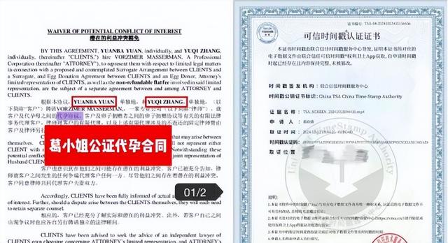 国家出手，张雨绮恐彻底凉凉！私生活再添实锤	，不止代孕这么简单