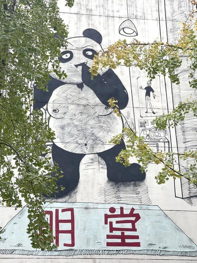 【美丽四川】寒冬将至 银杏初黄