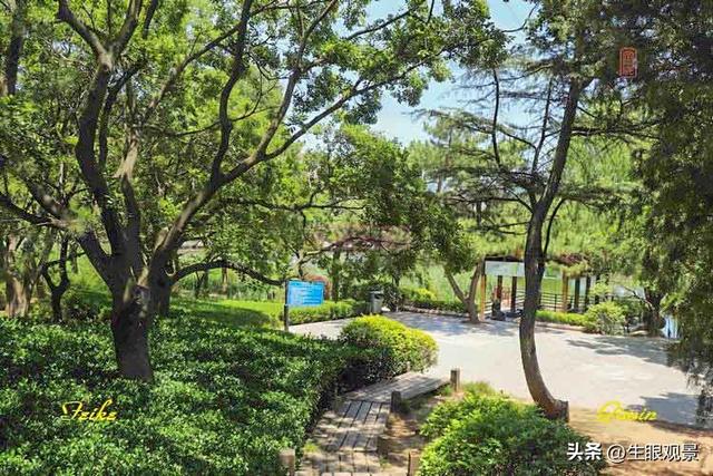 影记 | 青岛李沧文化公园掠影