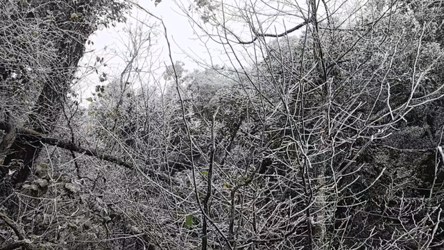 朋友圈C位预告！韶关雾凇限时上线，这片赏冰秘境地图等你来打卡