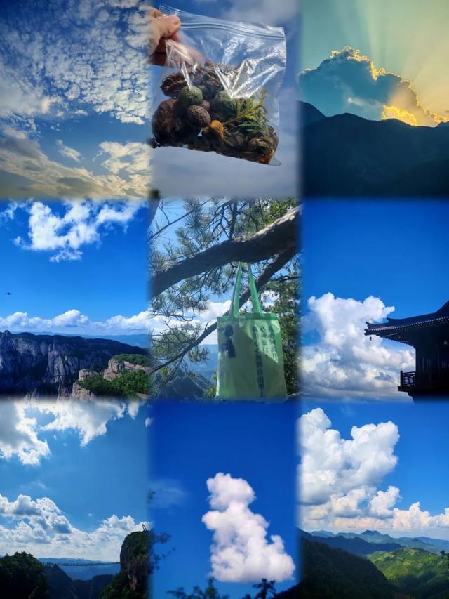 10月，「需要另一个同类」