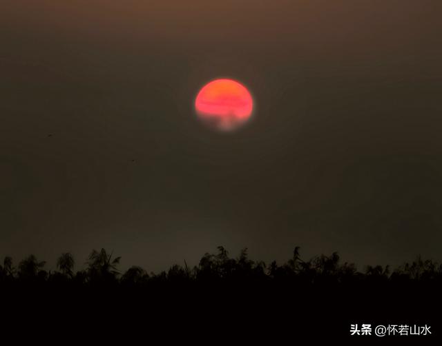 2025辽宁赏秋之旅日记(6)——到辽河口中国最北海岸线看日出 观鸟