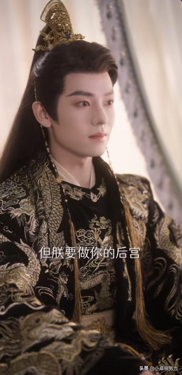 笑喷了，《千金谋》韩雨彤的财迷女主霸占了三榜第一，简直太上头