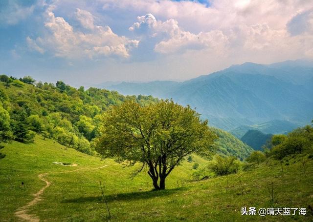 秦岭其他山头去不了，华阳草甸可以啊，一起去陕西版的阿勒泰吧！