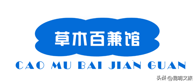 初冬出片C位！昆明这个地方必须榜上有名，周末抓紧冲~