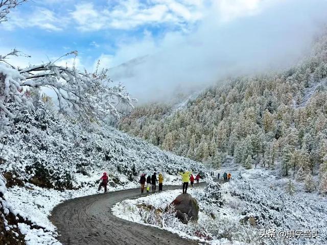 甲依拉措 ：一场白雪与彩林的盛宴