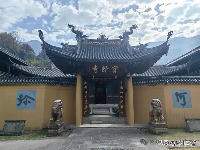 一树金黄，满城风雅！温州这棵著名的古寺银杏再不去就要落叶了