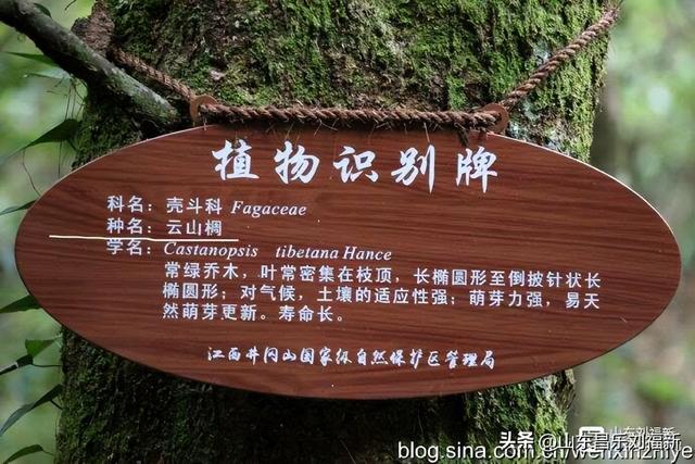 水口景区小记（江西之旅第八十八篇）