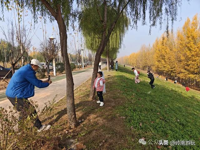 从西安出发1小时，隐藏在高陵河堤路边水上森林，美的令人窒息！