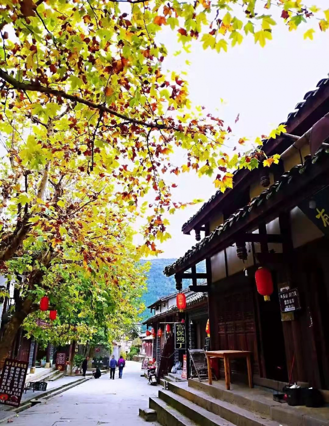 广元不远 周末优选 | 昭化古城，天生就会把人调回“慢”频道！