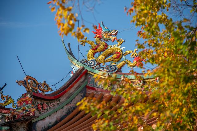 初冬古城｜听落叶飘落，才算读懂它的温柔