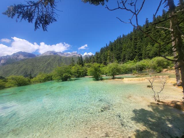 黄龙一日行，偶遇山间好物，沉醉五彩瑶池