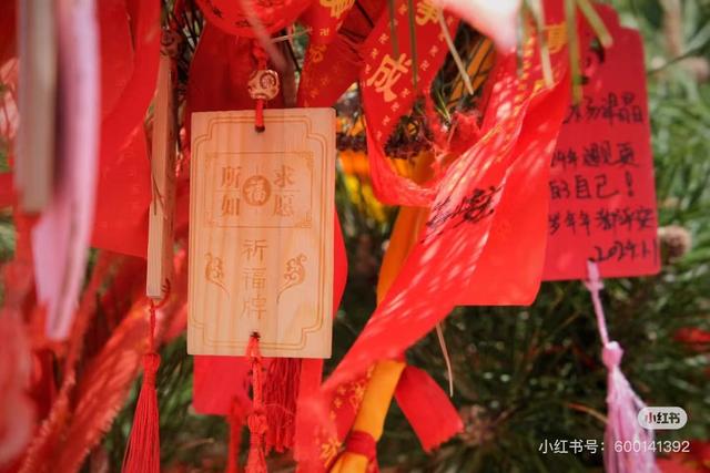 重阳节，在临沂这样过——9.9元景区特惠、赏菊、登高、祈福……