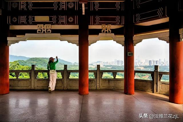 重阳节,登高远望城市风光。