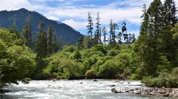 林芝•墨脱，聂拉藏布风光美，一年四季都散发着芬郁的芳香