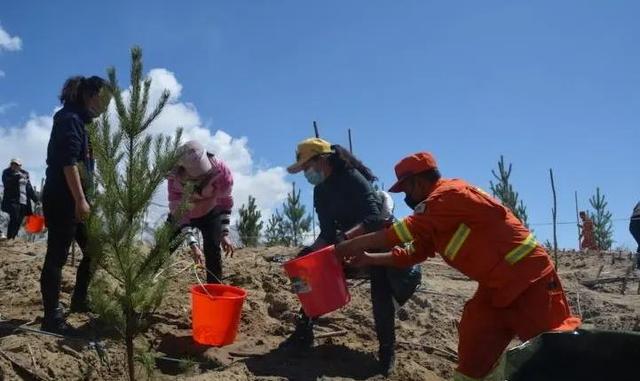 中国唯一见不到树的城市，曾有人悬赏30万，只求一棵树能活下来