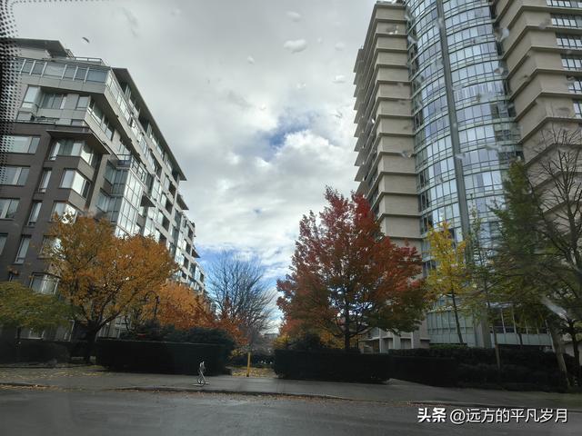 温哥华游记（六）