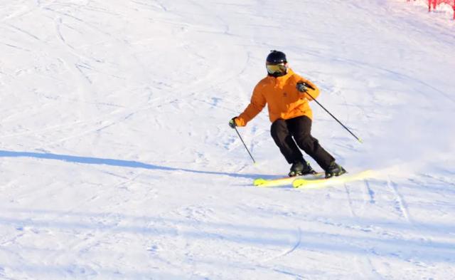 大雪已至 龙江皆雪趣