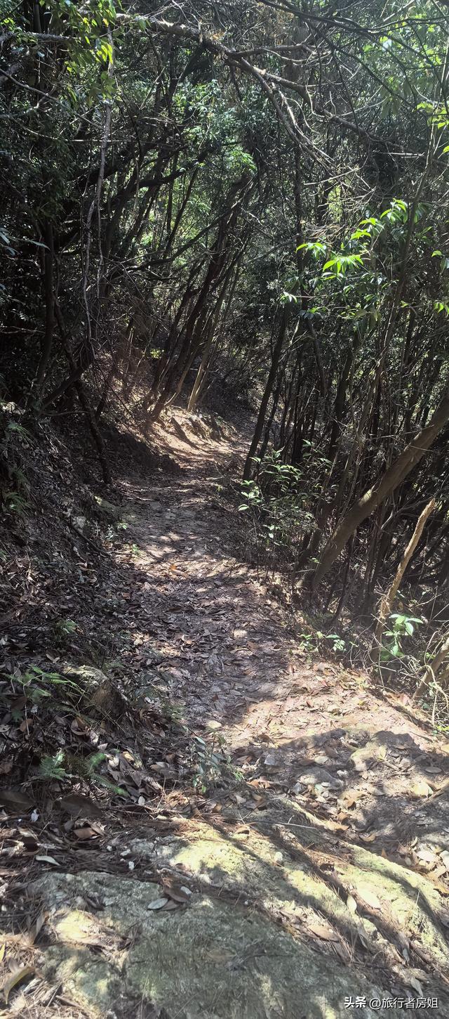 宁海雁苍山佛手台