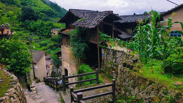 皖浙摩旅二人转——松阳横坑村篇（下）