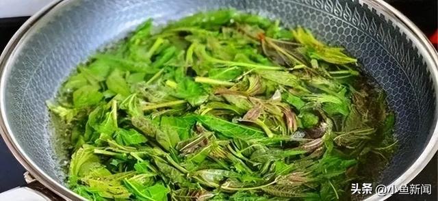 这几种蔬菜，不焯水当心全家中毒！第2种很多人都爱吃