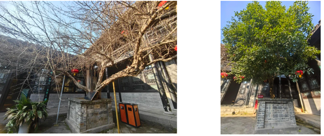 刚刚传来，颍东竟有这么多宝藏地？！今天，好多阜阳人都去了！直击现场......