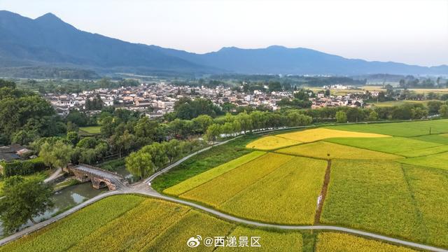 秋日奔赴预警！徽州美景已加载 99%~