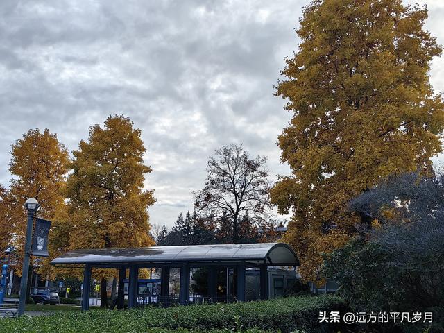 温哥华游记（五）