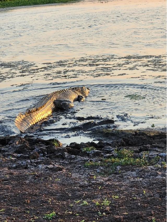〔读城〕澳洲小镇游记
