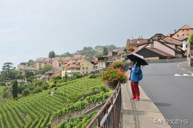 云端阆苑仙境，全球三大绝美梯田景观，个个世界文化遗产