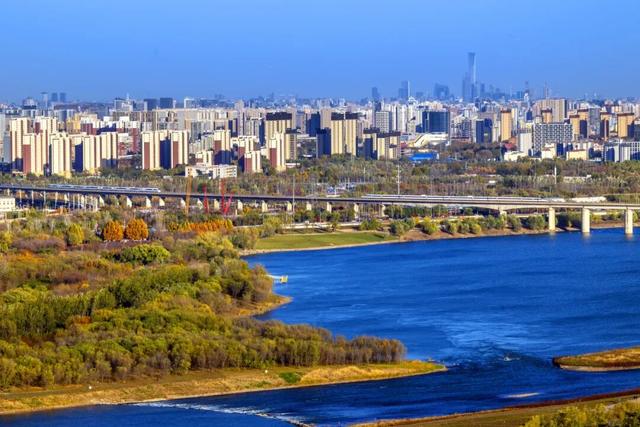 发现丰台之美 | 秋末冬初 落叶静美🧡