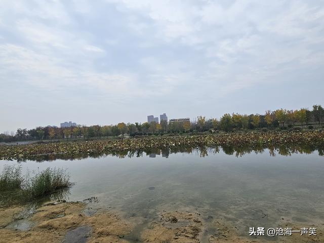 水的世界，云的天空，秋的天地，美的图画，乐的海洋，一起打卡吧