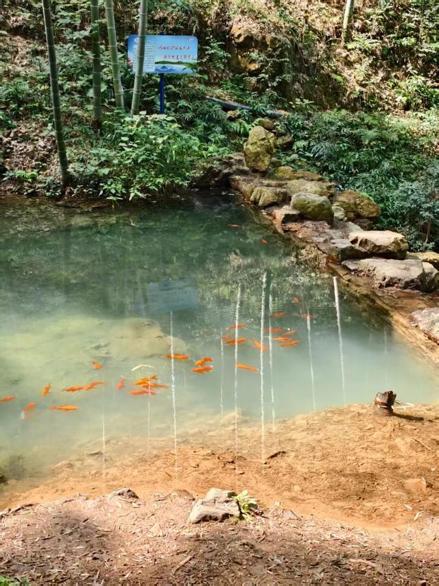 宜兴乡村之美，美在哪儿？