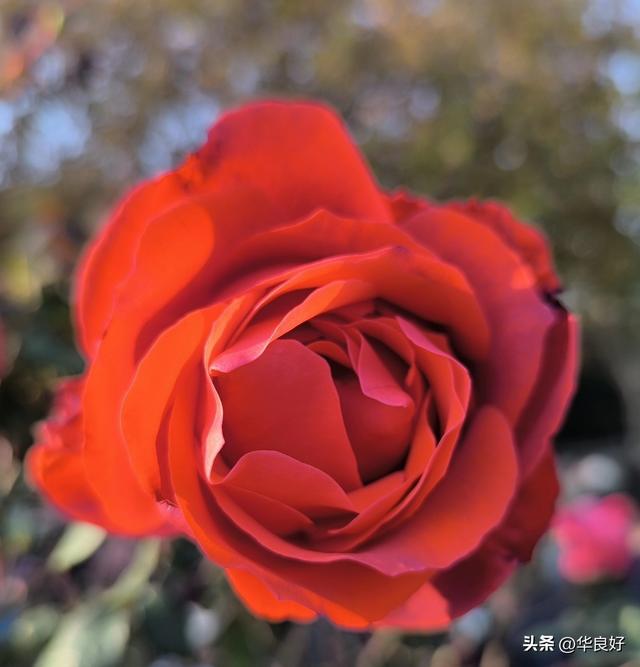 英烈浩气传千秋