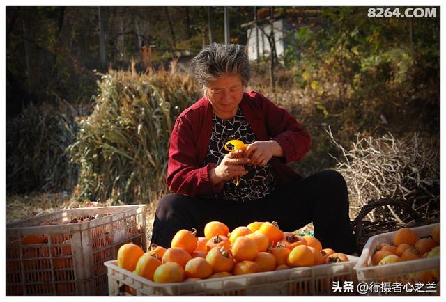 山东行游影记（194）—青州仰天山柿子沟（二）