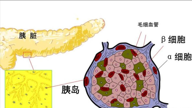 中科院发现：高血糖患者若每天睡午觉，不出几个月，或有6大变化