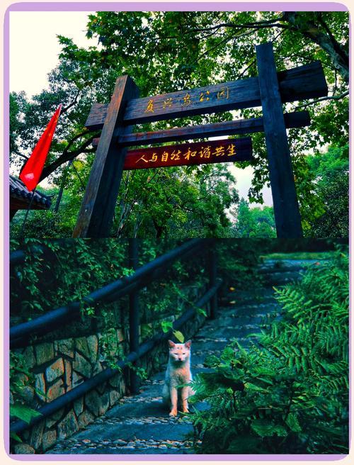 踏迹寻旅：一座被时光遗忘的秘境上海复兴岛