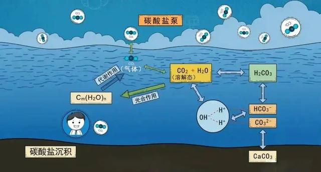 海水也能变塑料？这个世界越来越科幻了！